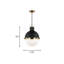 1 - Light Single Globe Pendant-544089088-544089214-544089212