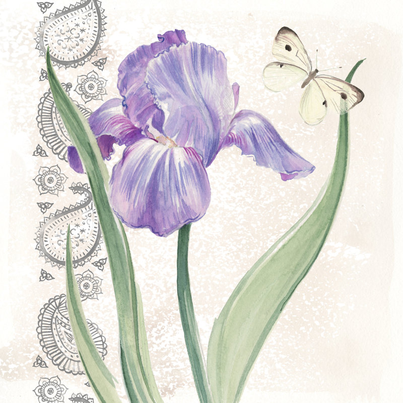 Flowers and Lace III - Wrapped Canvas Art Print, 76cm H x 76cm W