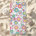 Colorful daisy floral