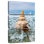 Ocean Conch Shell