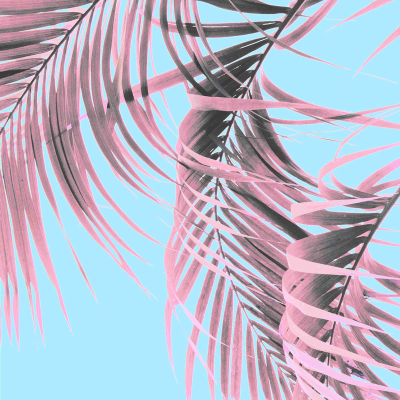 «Delicate Pink Palms», impression sur toile tendue, H 30 po x l 30 po, Oui, Cadre photo noyer