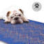 Tapis d'extérieur paille en plastique imperméable Lashel multi bleu-962892376