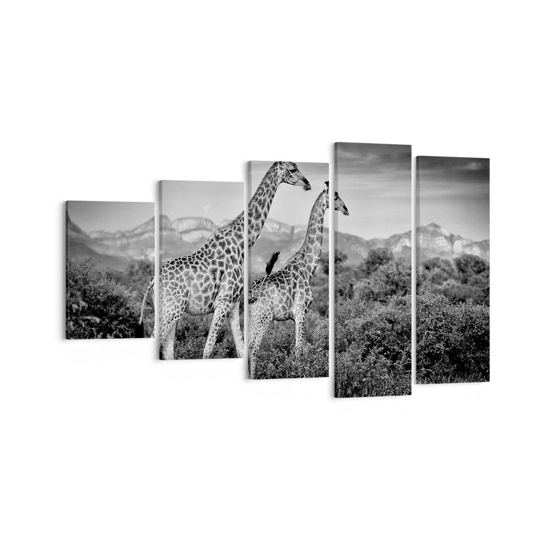 5-tlg. Leinwandbilder-Set Giraffes Black and White