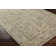 Oriental Indoor Rug