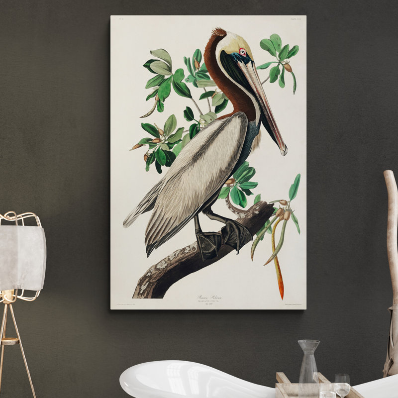 Roseate Spoonbill by John Audubon - Wrapped Canvas Print, 81cm H x 61cm W