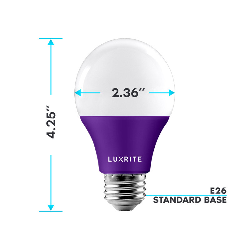 8 Watt (60 Watt Equivalent), A19 LED Light Bulb, E26/Medium (Standard) Base, Purple