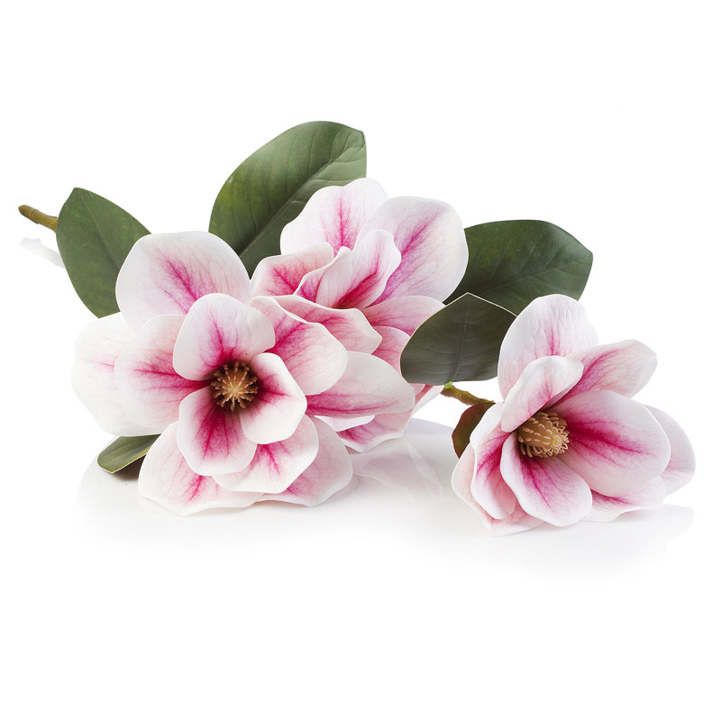 Magnolia Arrangement, Pink