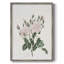Impression florale vintage encadrée CXLVII - bois massif-968761423