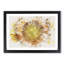 The Eye of a Yellow Sunflower - Picture Frame Painting Print-56855512-56855516