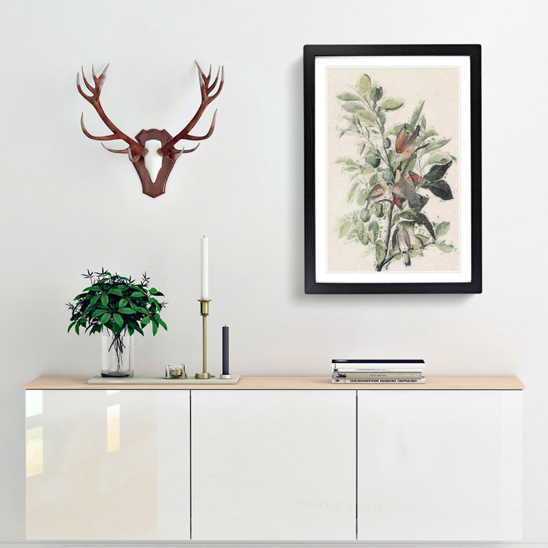 Ground Doves by John Audubon - Picture Frame Painting Print, 48cm H x 36cm W x 2cm D, Black Framed