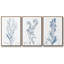 Antique Botanical in Blue I - Ensemble de 3 reproductions de photos sur toile-97760152-97760157