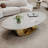 Coffee Table-1521541177