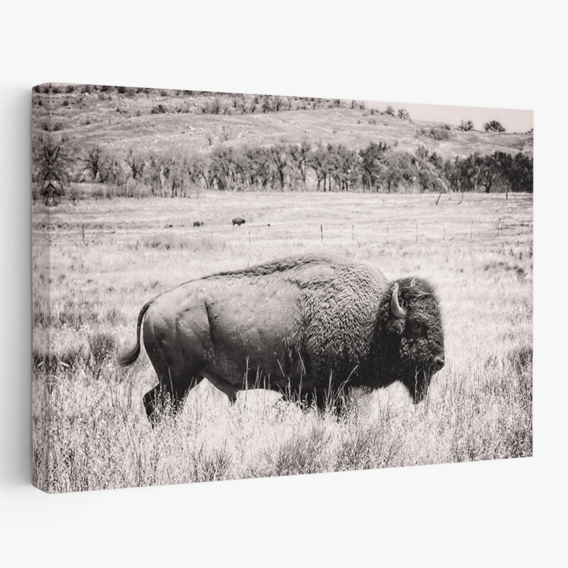 Contemporary Buffalo I BW, H 24 po x l 16 po