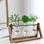 Support pour plante Teera
