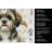 Brindle Shih Tzu Coffee Bar Kitchen Towel-1168062706