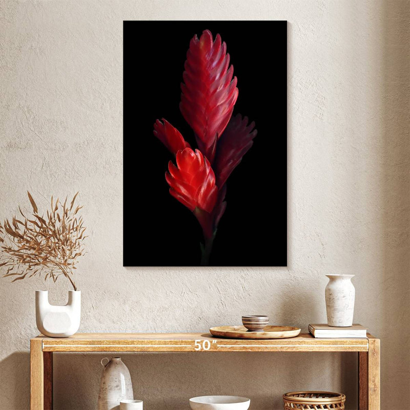 Harnek Bromeliad, 39" H x 26" W
