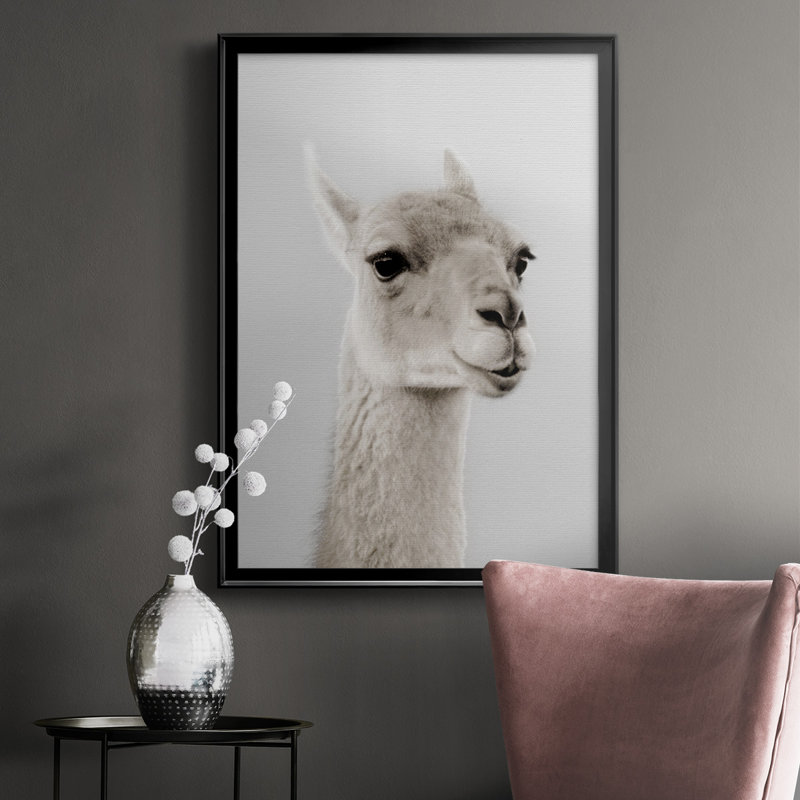 Ahjahnae Soft Llama - seul cadre imprimé, H 42,5 po x l 30,5 po x P 1 po, Noir