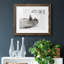 Laughing Seal - photographie avec cadre photo-1242266298-1242266241