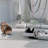 Malibu Chips 24" x 24" Terrazzo Look Polished Porcelain Tile