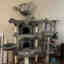 Customer photo 3 of 3