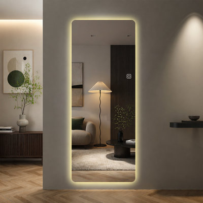 65x21in Full Body Mirror with Lights Full length mirror wall hanging type