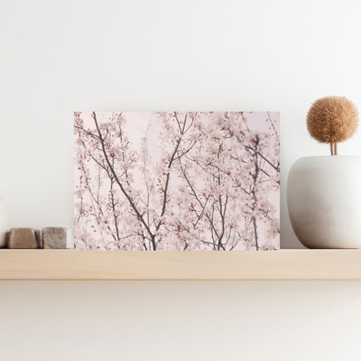 Spring Blossoms by Kathrin Pienaar - Wrapped Canvas Print
