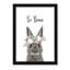 Le lapin est courage-48187588-48187569