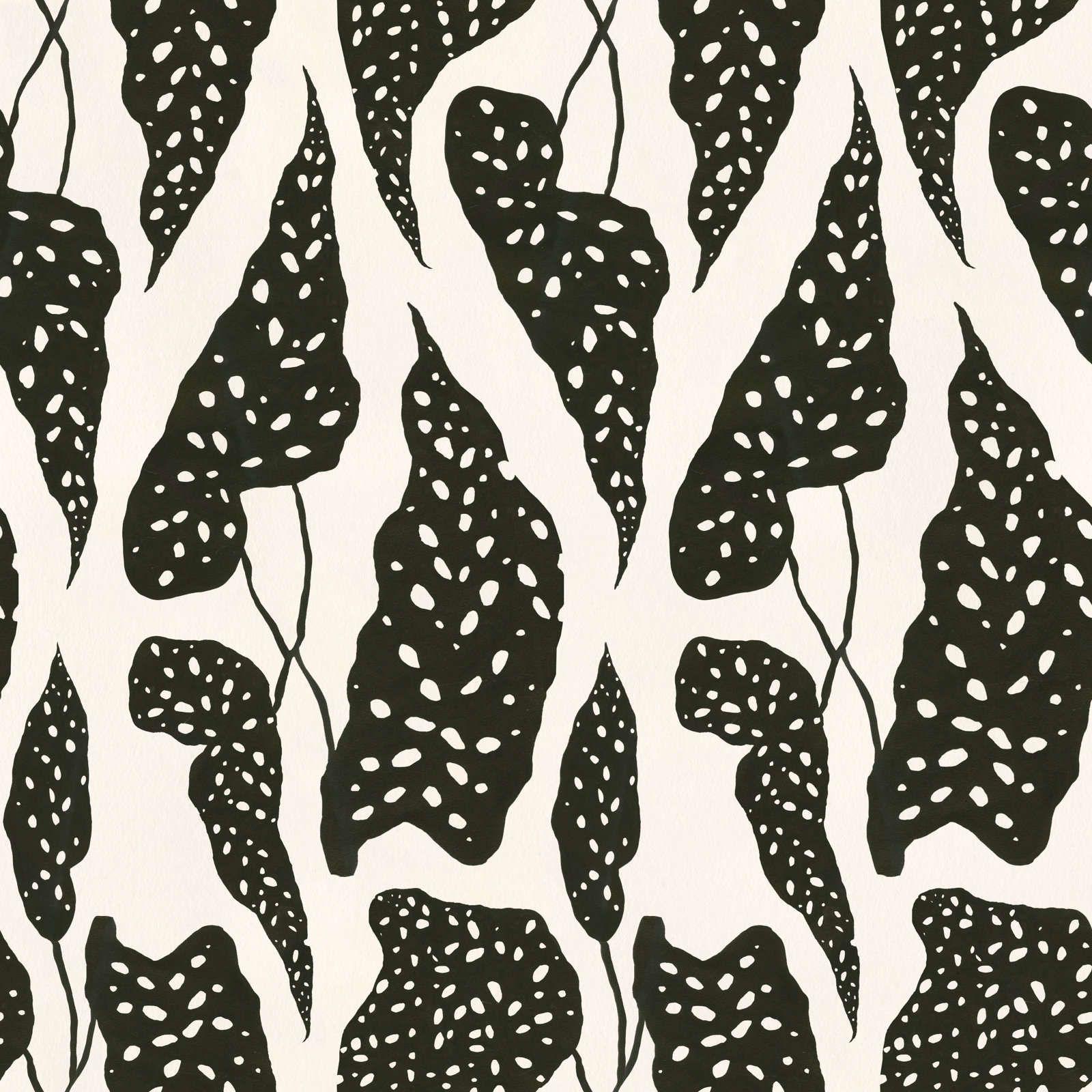 Kinney Floral Wallpaper, Cream/Black