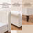 Modern Arched Tufted Upholstered Bed, King, Cream Velvet-253526931-253526929