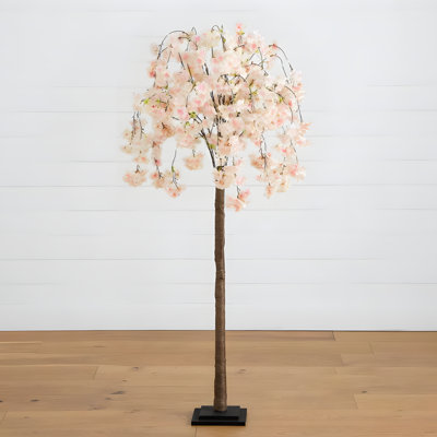 72in Led Lighted Cherry Tree & Bran
