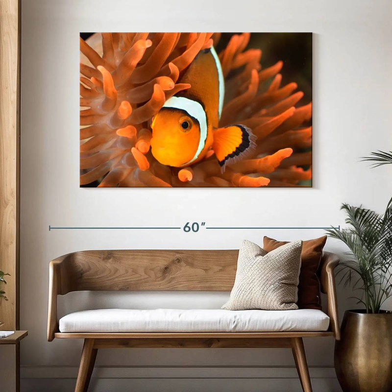 Brampt Orange Clownfish, 32" H x 48" W