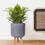 Concrete Effect Cylinder Round Planter on Hardwood Legs, Round Indoor Plant Pot Stand for Indoor Plants, Indoor Flower Pot with Honeycomb Pattern-89142826-89142829