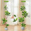 Figuier artificiel à feuilles de figuier avec jardinière sphérique décorative pour l'intérieur et l'extérieur