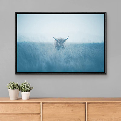 " Shetland Cow In Washed Out Field "