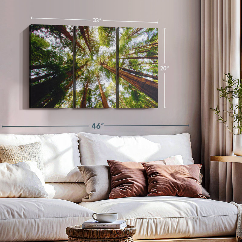 «Muir Wood California Redwoods» sur toile, H 20 po x l 33 po x P 1,25 po