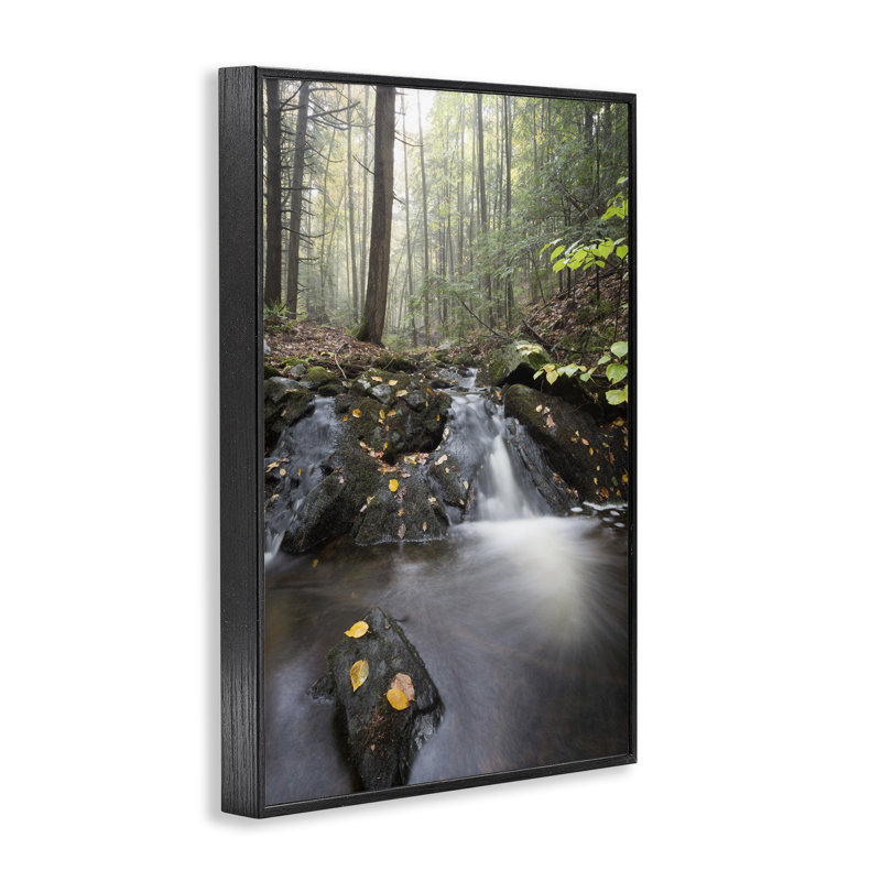 «Misty Stream Adirondacks», dessin de James Rodewald, Giclée encadrée noir minuit, H 24 po x l 16 po