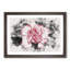 Pink Carnation Flower - Framed Print-56851831-56851836