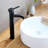 Euro Collection Single-Handle Tall Vessel Lavatory Bathroom Faucet - Oil Rubbed Bronze-43368789