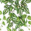 Plante suspendue artificielle Tradescantia Spiderwort Ivy