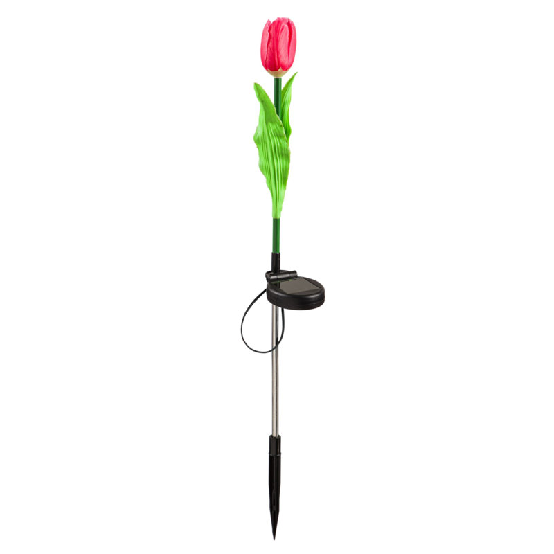 Piquet de jardin Kamellia, Rose