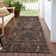 Chayil Machine Washable Indoor/Outdoor Rug