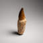 Genuine Mosasaur Tooth With Root From Morocco (115 Grams)
