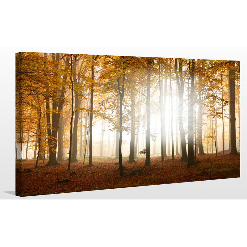 « automne », reproduction de photo sur toile tendue, H 28 po x l 48 po x P 1,5 po