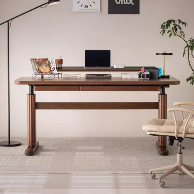 Brownness Rectangular Solid Wood with 2 drawers desk