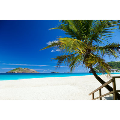 Beach With A Palm Tree by Cdwheatley - No Frame Art Prints on Canvas