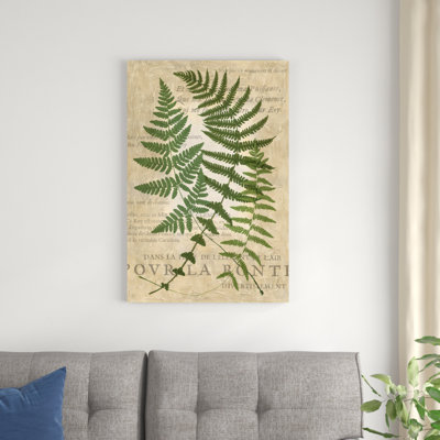 "Fougère fougère I" par Vision Studio, reproduction d'art sur toile