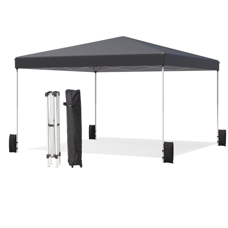 12'x12' Pop Up Tent, Outdoor Canopy With Sand Bags & Wheeled Bag, Portable Shelter For Events Black, Black
