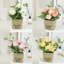 Arrangement floral Canales Roses en pot