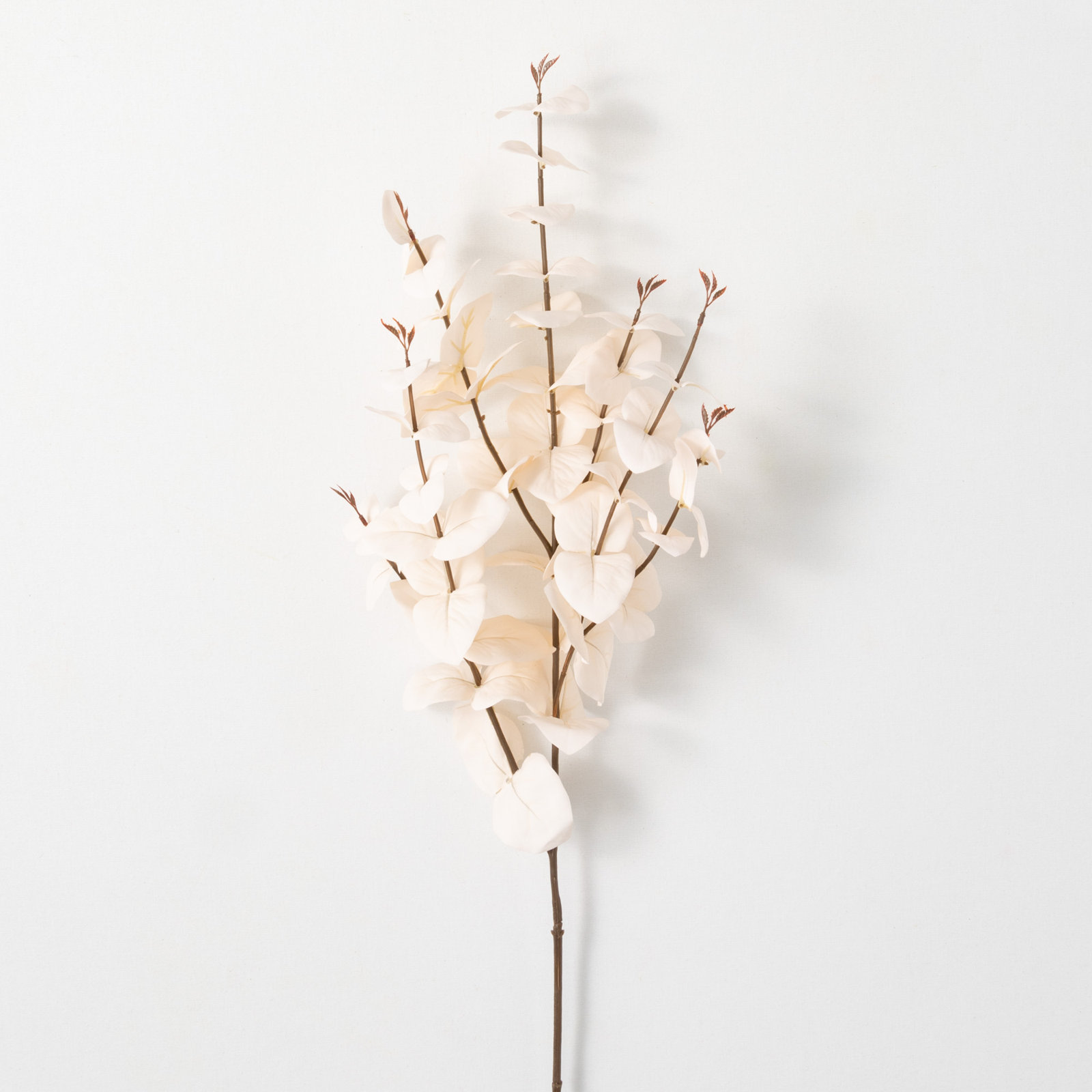 Eucalyptus Sprays