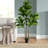 59.1'' Faux Fiddle-Leaf Fig Tree Tree in Cement Pot